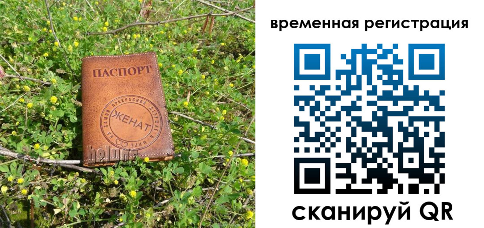 прописка регистрация в Чудово